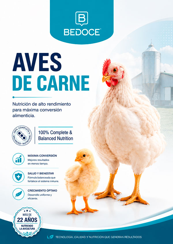 Línea Aves de Carne BEDOCE