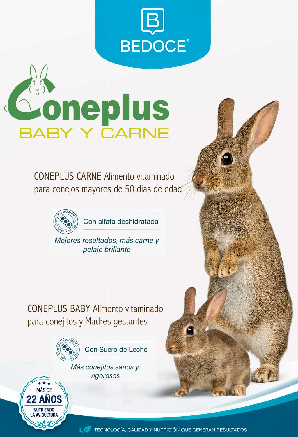 Conejos BEDOCE