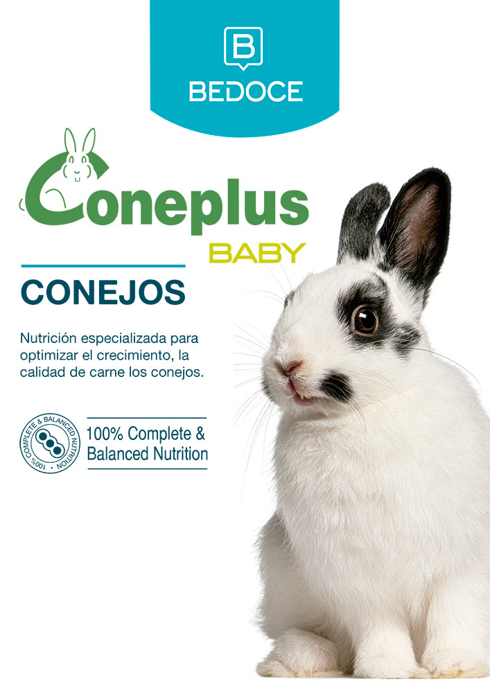 Coneplus Baby BEDOCE