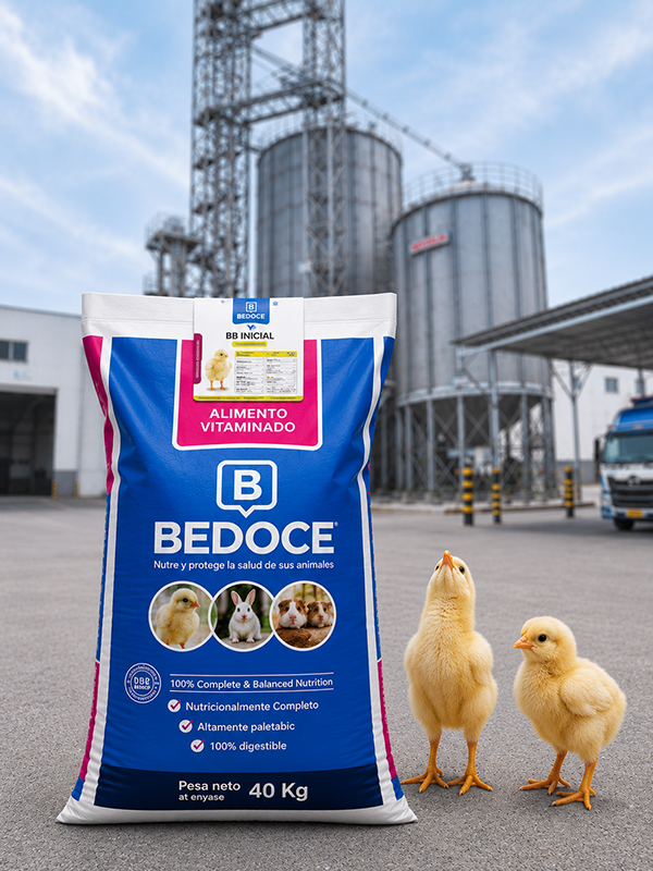 Alimento Inicial para aves de carne