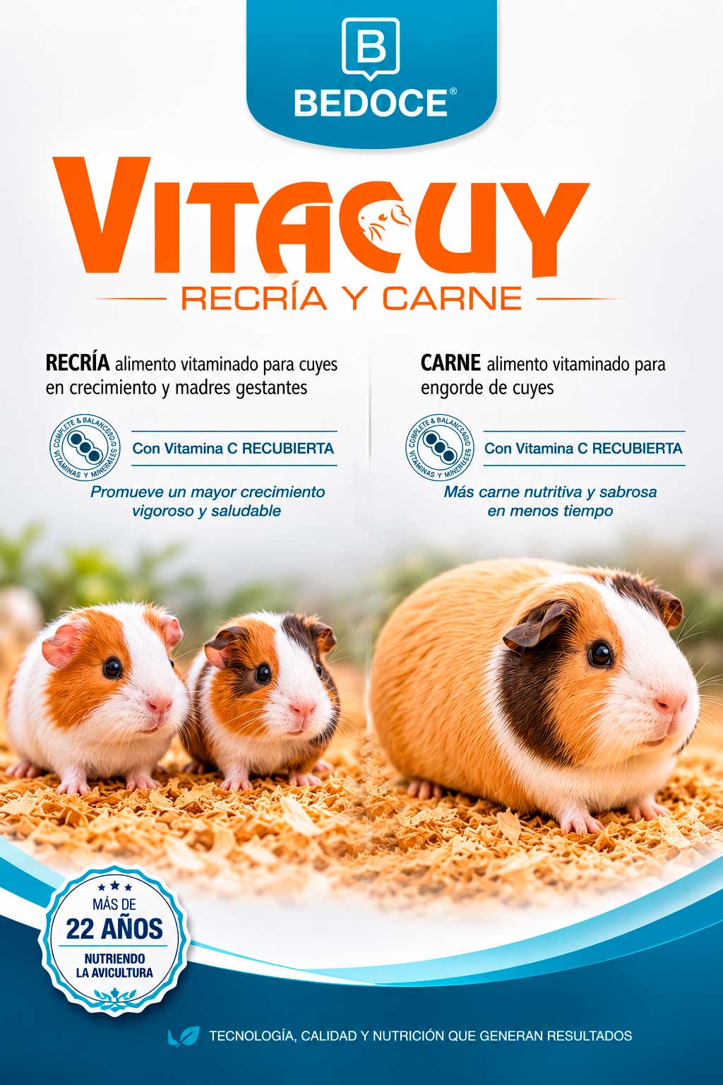 Cuyes BEDOCE