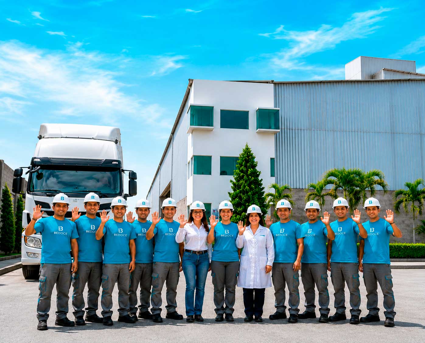 Distribución y equipo logístico de BEDOCE