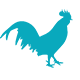 Gallo