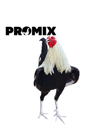Promix para gallos de pelea