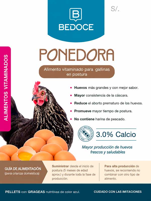 Ponedora BEDOCE